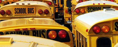 many school buses